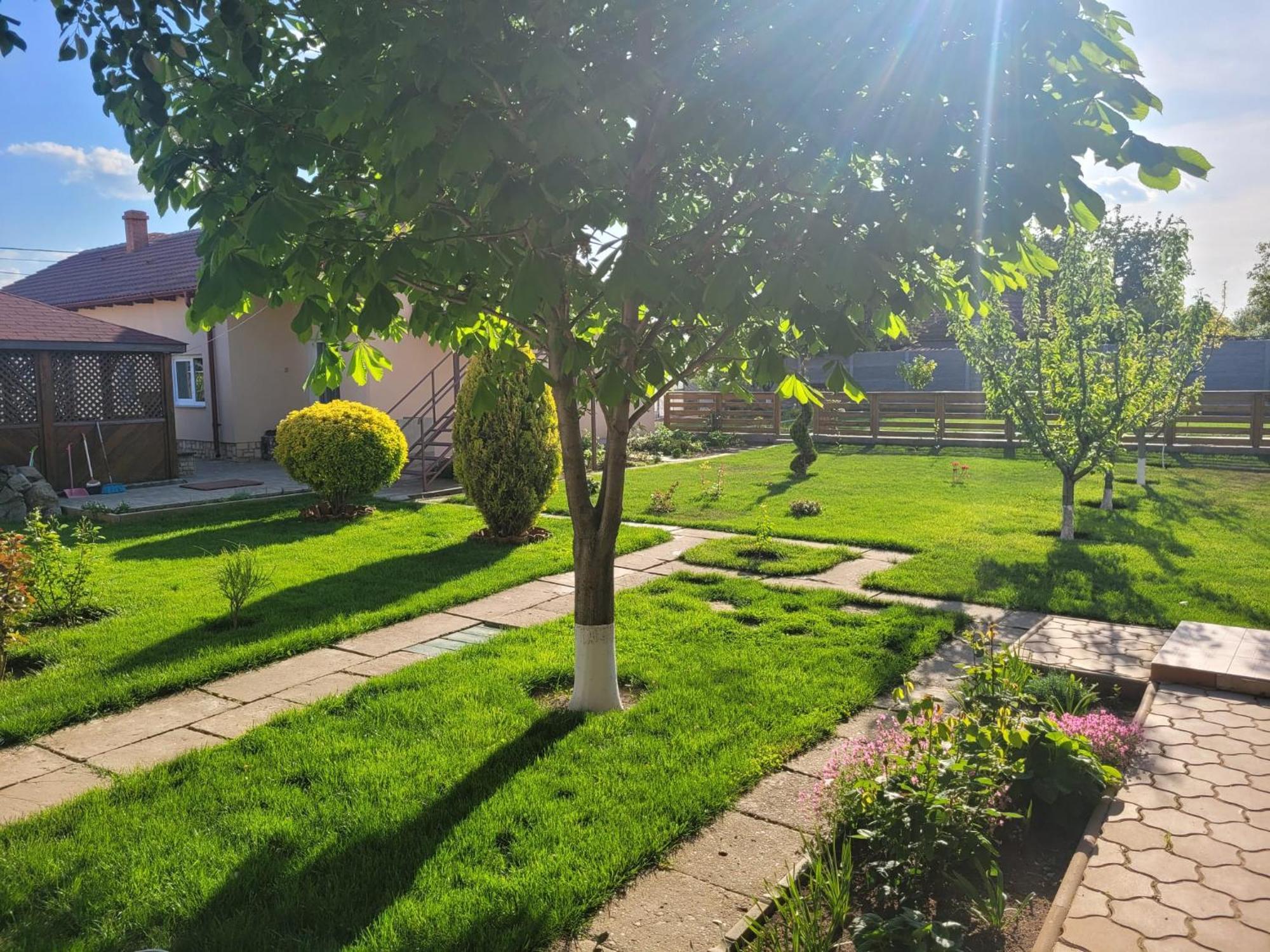 Casa Viviana Hotel Baia Eksteriør billede